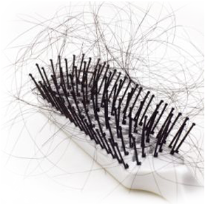 Hair Loss Miracle Solution